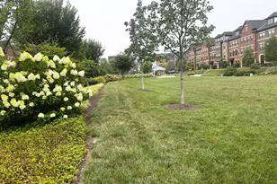 43451 Charitable St, Ashburn, VA 20148 - Photo 39