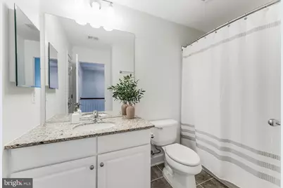 314 Virginia Wildflower Terrace SE, Leesburg, VA 20175 - Photo 31
