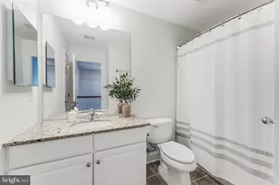 314 Virginia Wildflower Terrace SE, Leesburg, VA 20175 - Photo 31