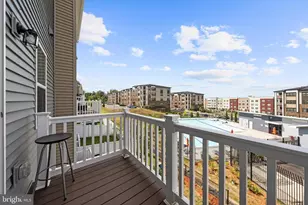 46324 Mount Kellogg Ter, Sterling, VA 20164 - Photo 19