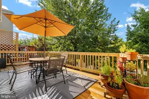 545 Sparkleberry Terrace NE, Leesburg, VA 20176 - Photo 11