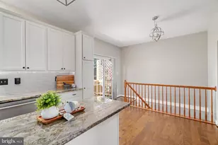 545 Sparkleberry Terrace NE, Leesburg, VA 20176 - Photo 9