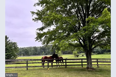 34994 Williams Gap Road, Round Hill, VA 20141 - Photo 39