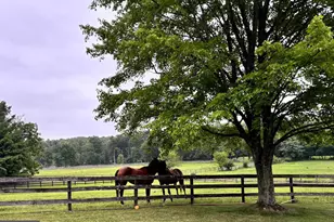 34994 Williams Gap Rd, Round Hill, VA 20141 - Photo 39