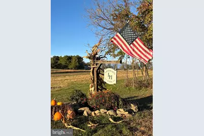 34994 Williams Gap Road, Round Hill, VA 20141 - Photo 29