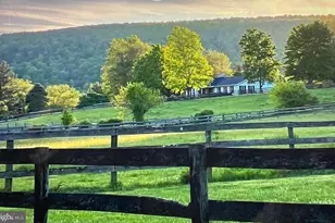34994 Williams Gap Rd, Round Hill, VA 20141 - Photo 31