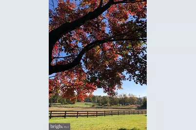 34994 Williams Gap Road, Round Hill, VA 20141 - Photo 41