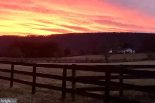 34994 Williams Gap Rd, Round Hill, VA 20141 - Photo 33