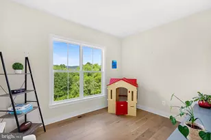 38149 John Wolford Rd, Hillsboro, VA 20132 - Photo 33