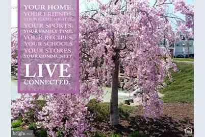 42746 Explorer Drive, Brambleton, VA 20148 - Photo 11
