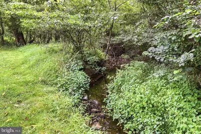 34141 Snickersville Turnpike, Bluemont, VA 20135 - Photo 43