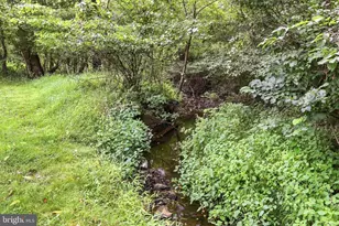 34141 Snickersville Turnpike, Bluemont, VA 20135 - Photo 43