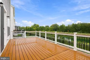 25508 Grassy Mdw Dr, Aldie, VA 20105 - Photo 51