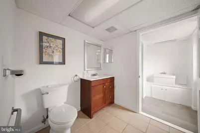 16694 Old Waterford Road, Paeonian Springs, VA 20129 - Photo 53