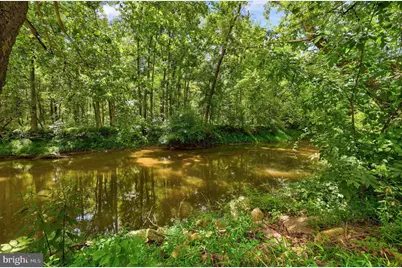 13316 Downey Mill Road, Lovettsville, VA 20180 - Photo 47