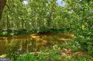 13316 Downey Mill Rd, Lovettsville, VA 20180 - Photo 47