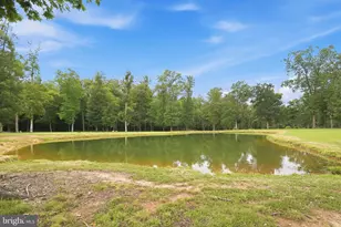 43449 Lost Corner Rd, Leesburg, VA 20176 - Photo 75