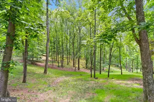 38620 Lime Kiln Rd, Leesburg, VA 20175 - Photo 51