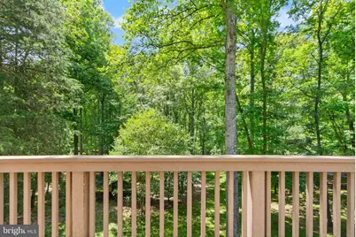 38620 Lime Kiln Road, Leesburg, VA 20175 - Photo 29