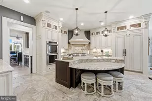 40679 Grenata Preserve Pl, Leesburg, VA 20175 - Photo 11