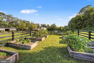 12016 Mountain Rd, Lovettsville, VA 20180 - Photo 35