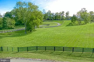 41531 Southpaw Pl, Leesburg, VA 20175 - Photo 17