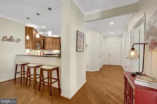 24637 Woolly Mammoth Terrace, Aldie, VA 20105 - Photo 3