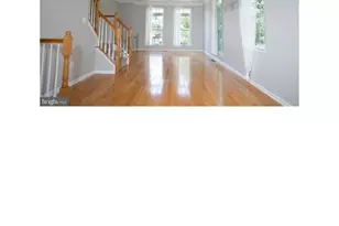 42590 Pine Forest Dr, Chantilly, VA 20152 - Photo 5