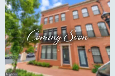 265 Crescent Station Terrace SE, Leesburg, VA 20175 - Photo 1