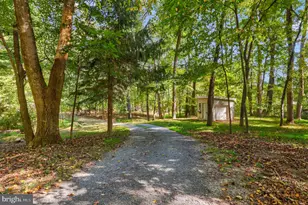 13329 Mountain Rd, Lovettsville, VA 20180 - Photo 79