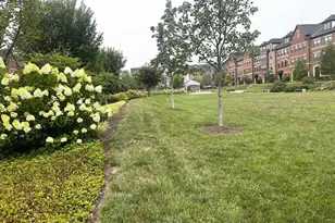 43451 Charitable St, Ashburn, VA 20148 - Photo 39