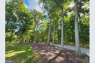 37682 Cooksville Road, Purcellville, VA 20132 - Photo 11