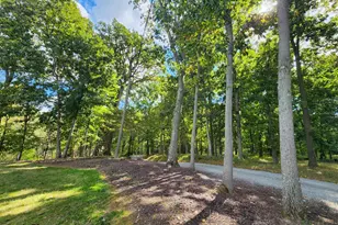 37682 Cooksville Rd, Purcellville, VA 20132 - Photo 11