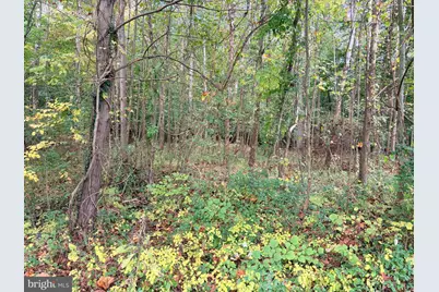 12813 James Monroe Highway, Leesburg, VA 20176 - Photo 3