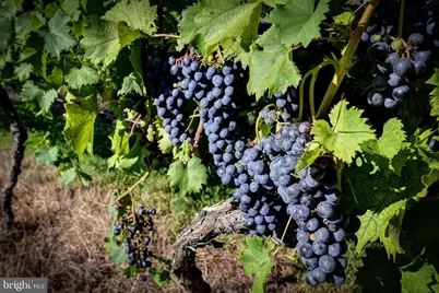 1025 Good Luck Road, Kilmarnock, VA 22482 - Photo 23