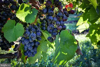 1025 Good Luck Road, Kilmarnock, VA 22482 - Photo 17