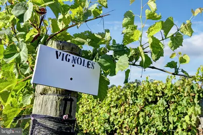 1025 Good Luck Road, Kilmarnock, VA 22482 - Photo 25