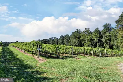 1025 Good Luck Road, Kilmarnock, VA 22482 - Photo 21