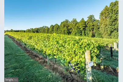 1025 Good Luck Road, Kilmarnock, VA 22482 - Photo 113