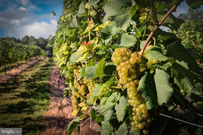 1025 Good Luck Road, Kilmarnock, VA 22482 - Photo 27