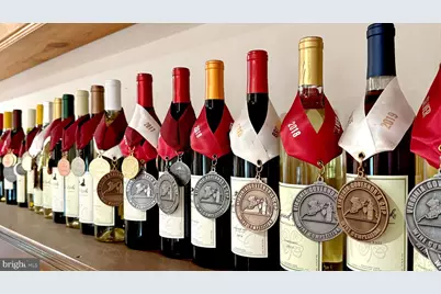 1025 Good Luck Road, Kilmarnock, VA 22482 - Photo 37