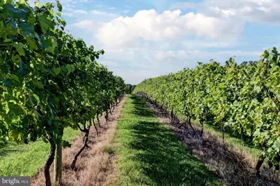 1025 Good Luck Road, Kilmarnock, VA 22482 - Photo 23