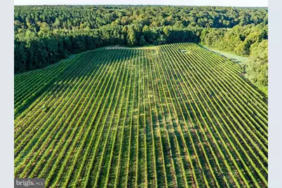 1025 Good Luck Road, Kilmarnock, VA 22482 - Photo 111