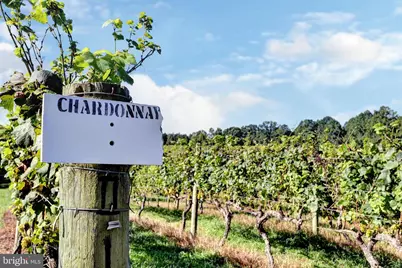 1025 Good Luck Road, Kilmarnock, VA 22482 - Photo 19