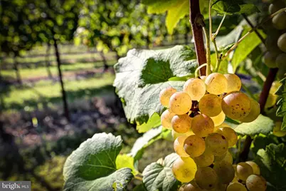 1025 Good Luck Road, Kilmarnock, VA 22482 - Photo 29