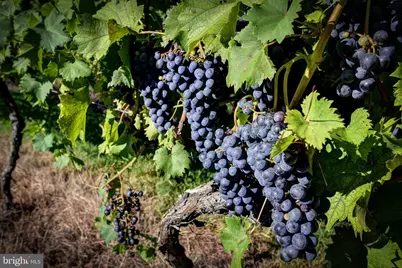 1025 Good Luck Road, Kilmarnock, VA 22482 - Photo 21