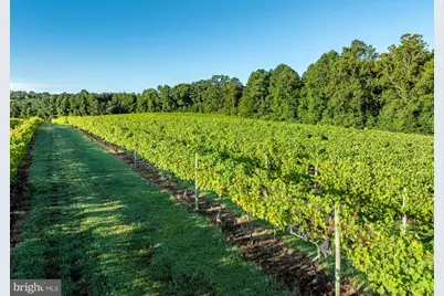 1025 Good Luck Road, Kilmarnock, VA 22482 - Photo 105