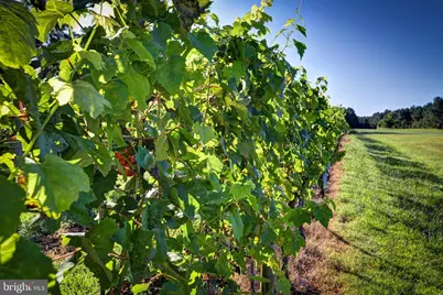 1025 Good Luck Road, Kilmarnock, VA 22482 - Photo 109