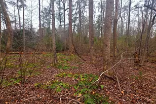 W Highview Dr Lot 134, Lancaster, VA 22503 - Photo 1