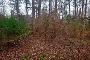 W Highview Dr Lot 135, Lancaster, VA 22503 - Photo 1